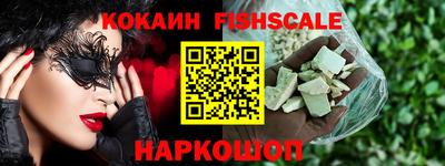 гидра Заводоуковск