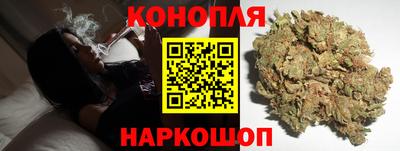 гидра Заводоуковск
