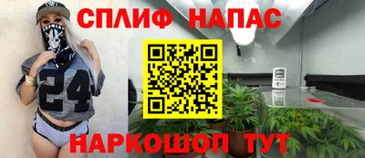 прущие грибы Заволжье