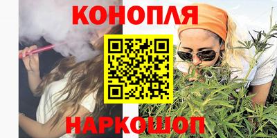 гидра Заводоуковск