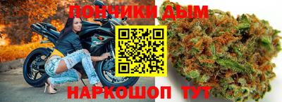 гидра Заводоуковск