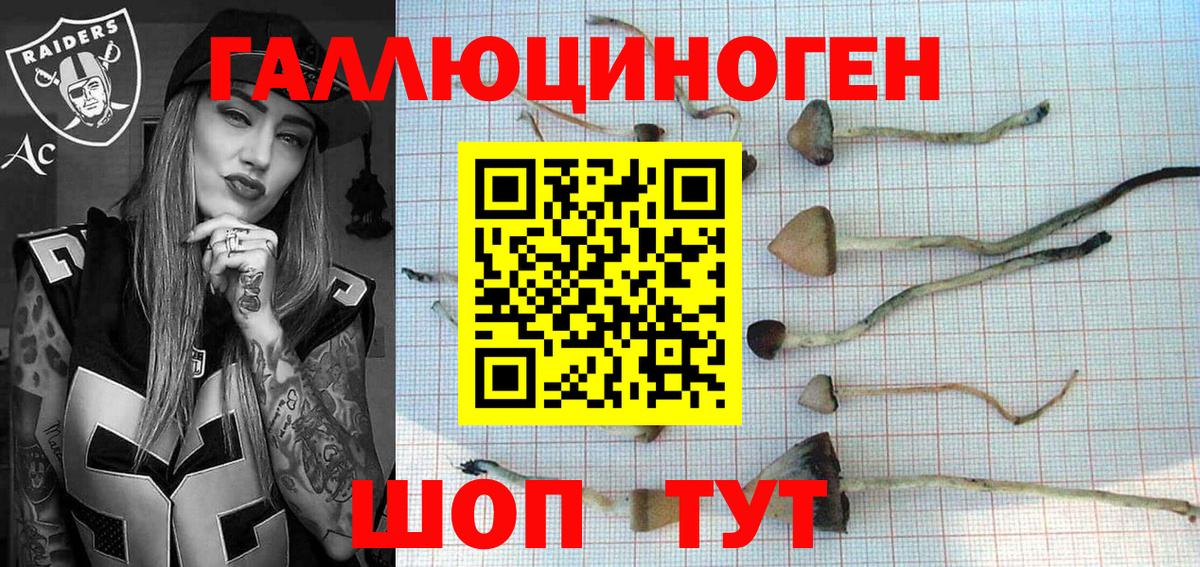 Псилоцибиновые грибы Psilocybe  Галлюциногенные грибы мухоморы  Вход с VPN  Малгобек 